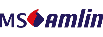 MS Amlin
